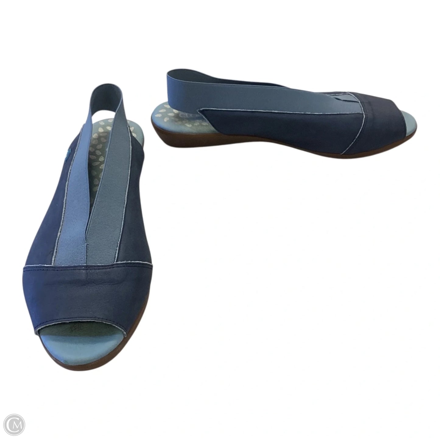 Shoes Flats By Clothes Mentor In Blue, Size: 10.5