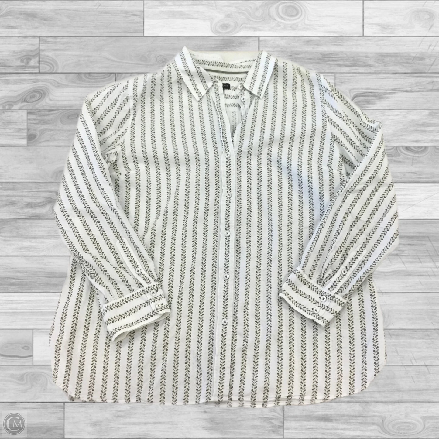 Top Long Sleeve By Talbots In Green & White, Size: Xl