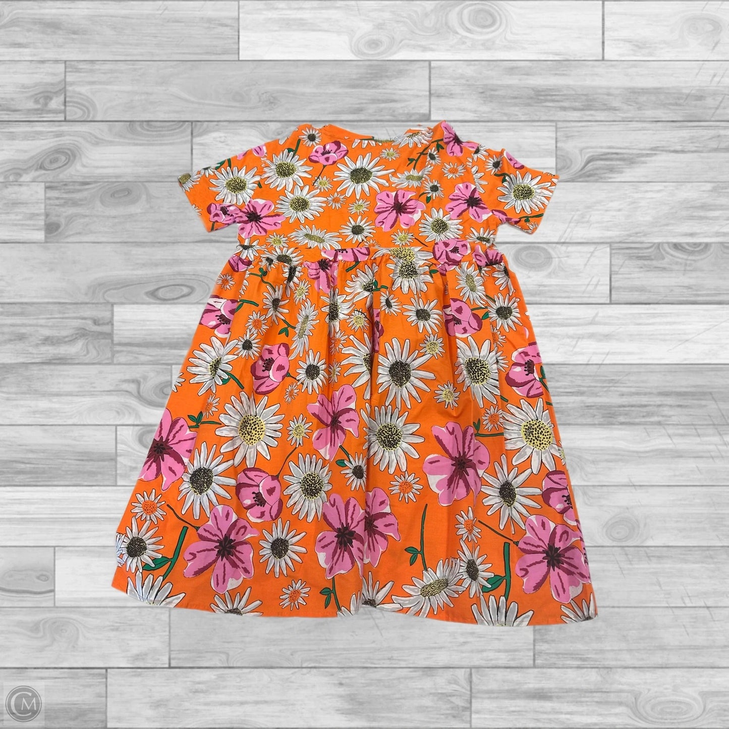 Dress Casual Short By Zara In Floral Print, Size: L