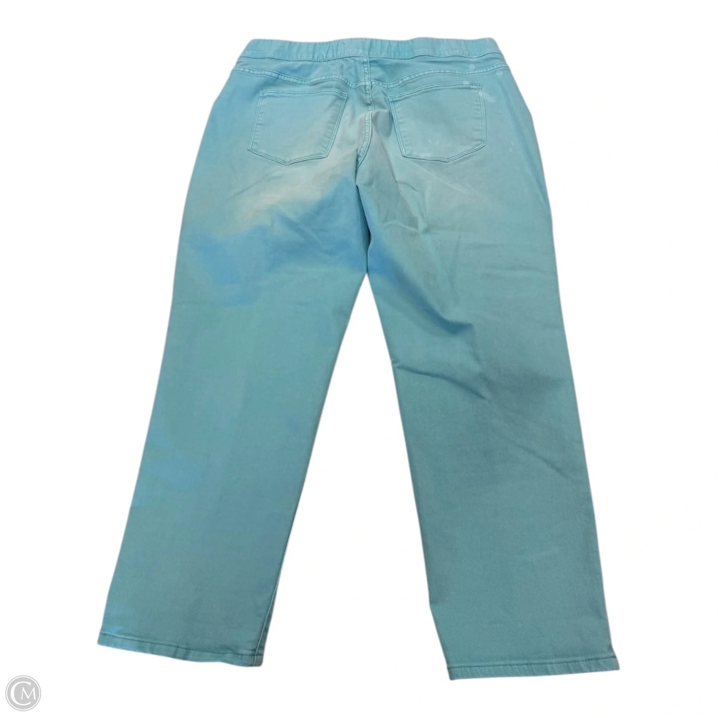 Pants Other By Soft Surroundings In Blue, Size: L