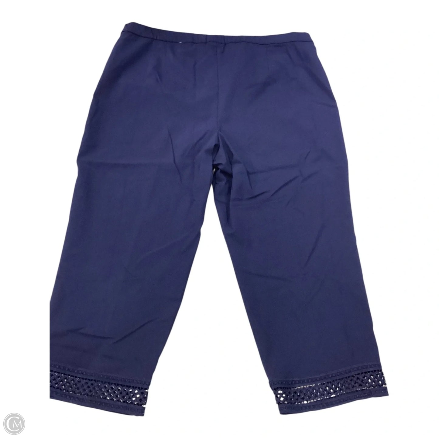 Pants Other By Susan Graver In Navy, Size: 24