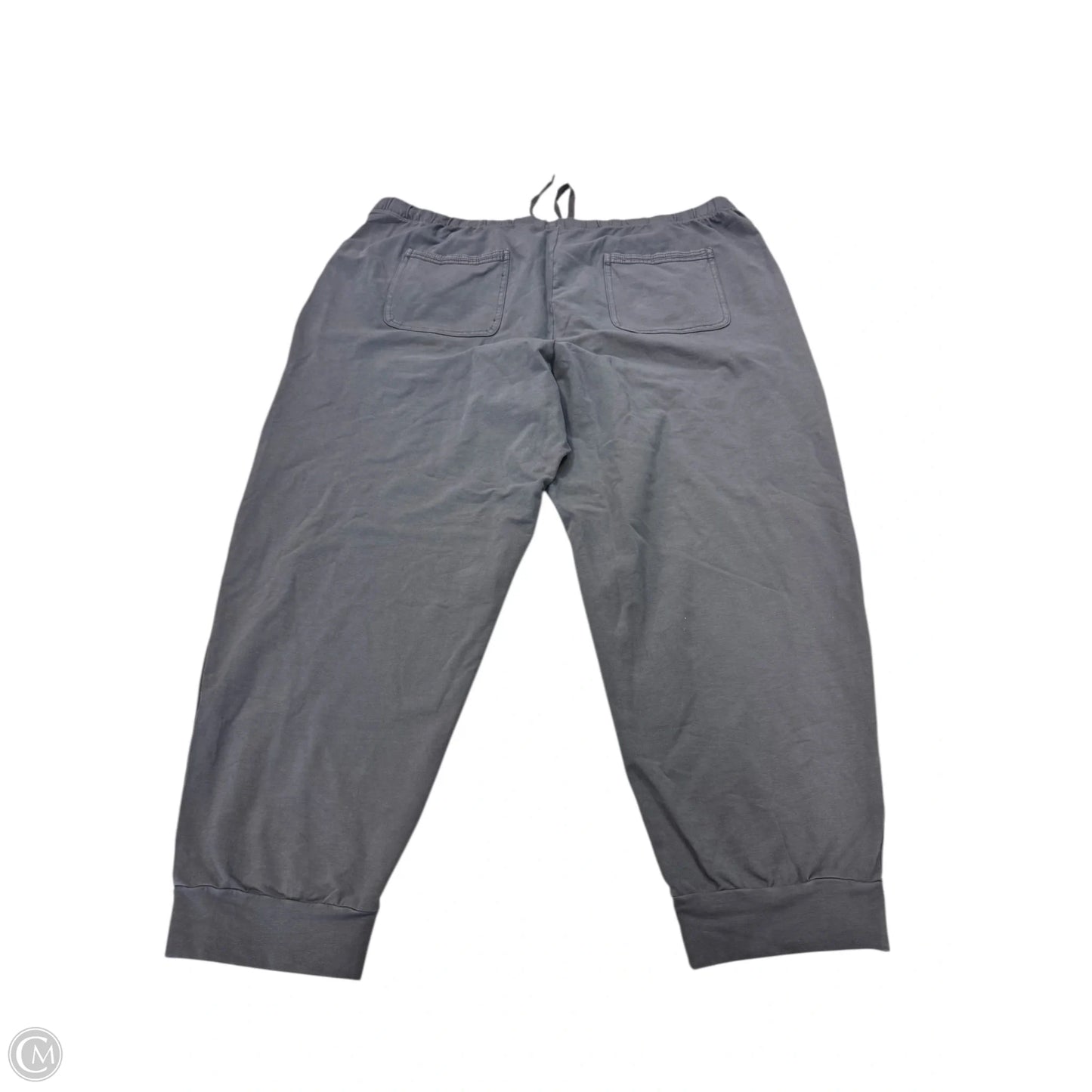 Pants Other By Terra & Sky In Grey, Size: 3x