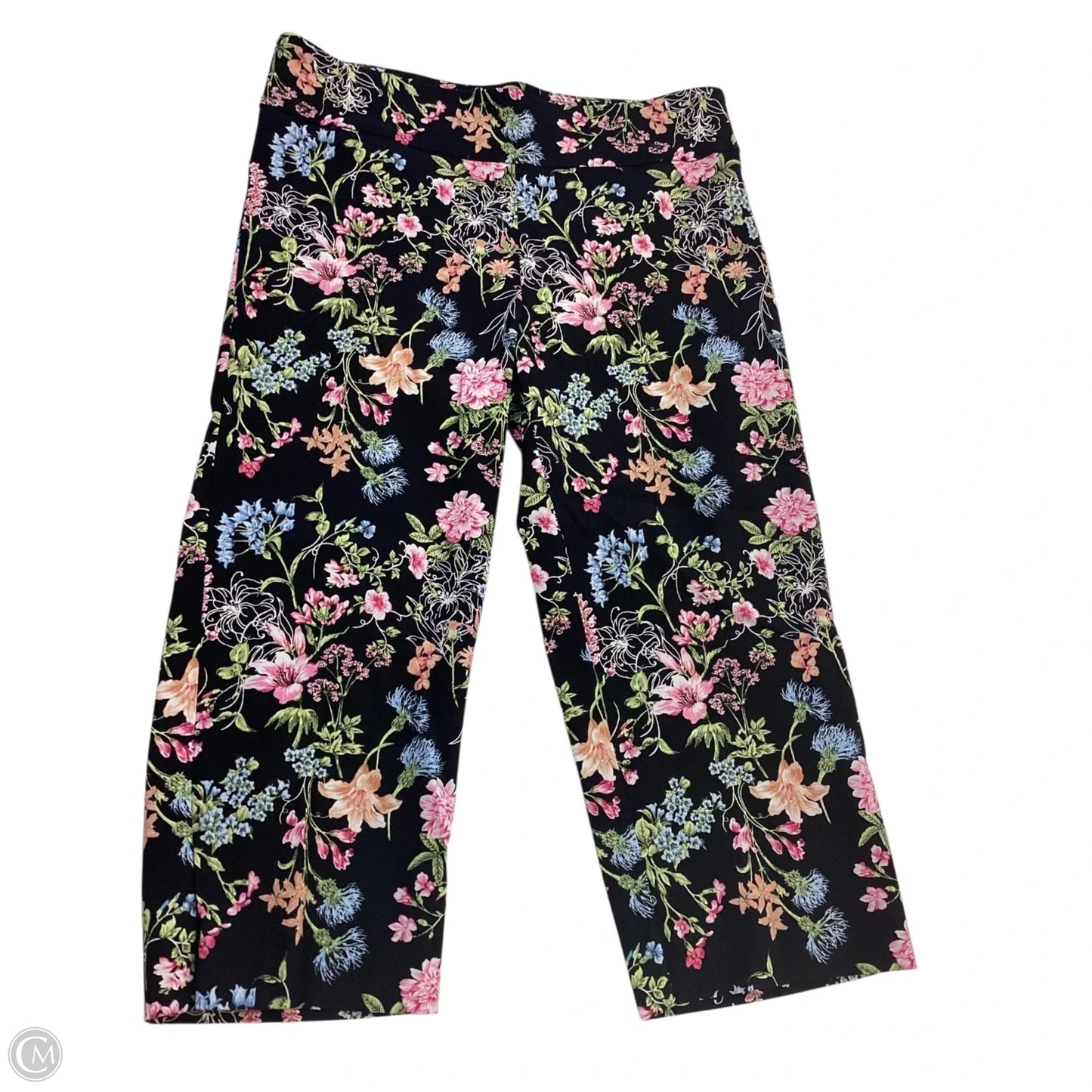 Capris By Counterparts In Floral Print, Size: 6p