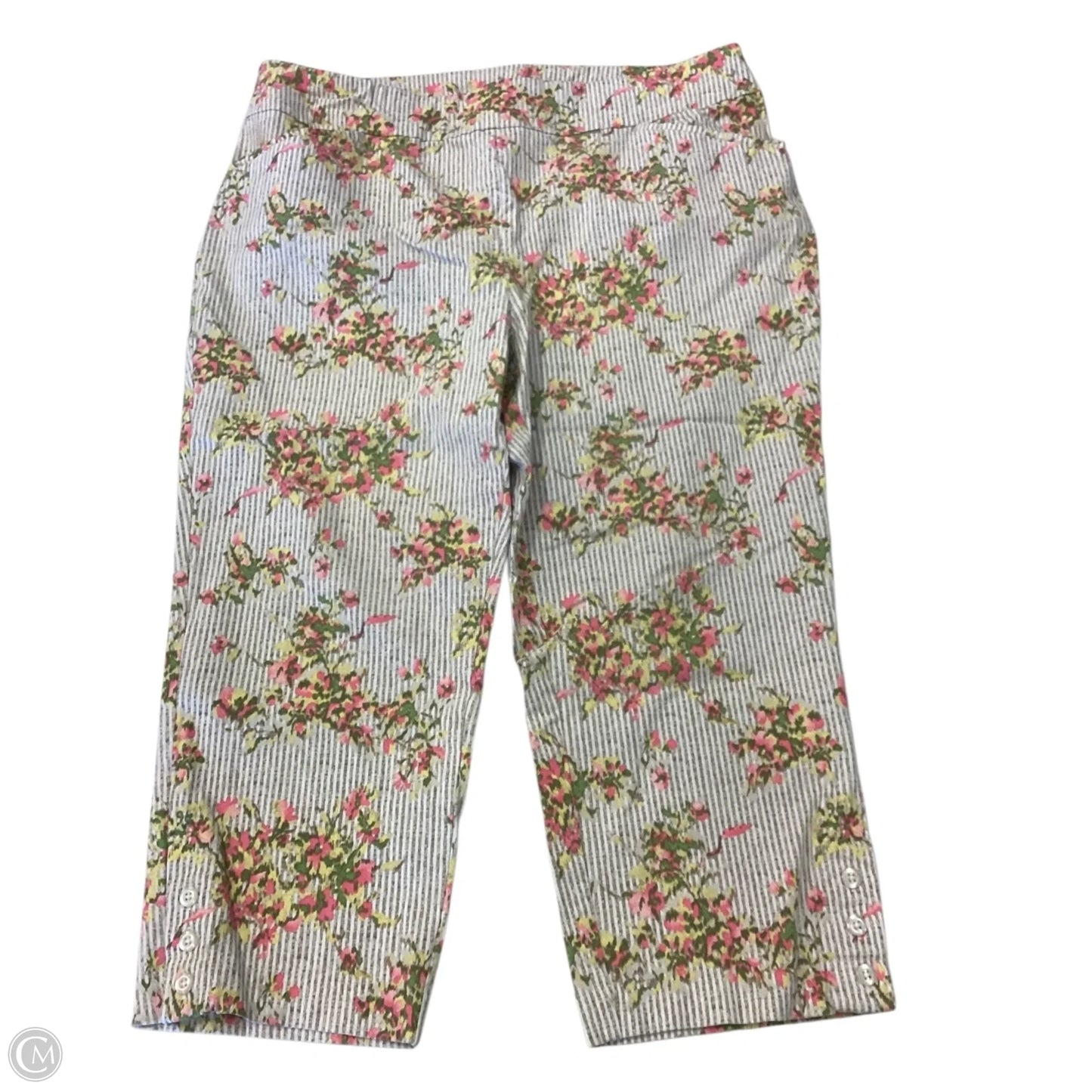 Pants Other By Chicos In Floral Print, Size: 14