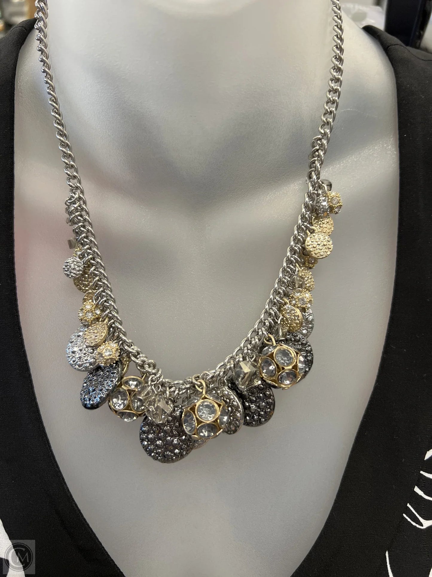 Necklace Chain By Loft