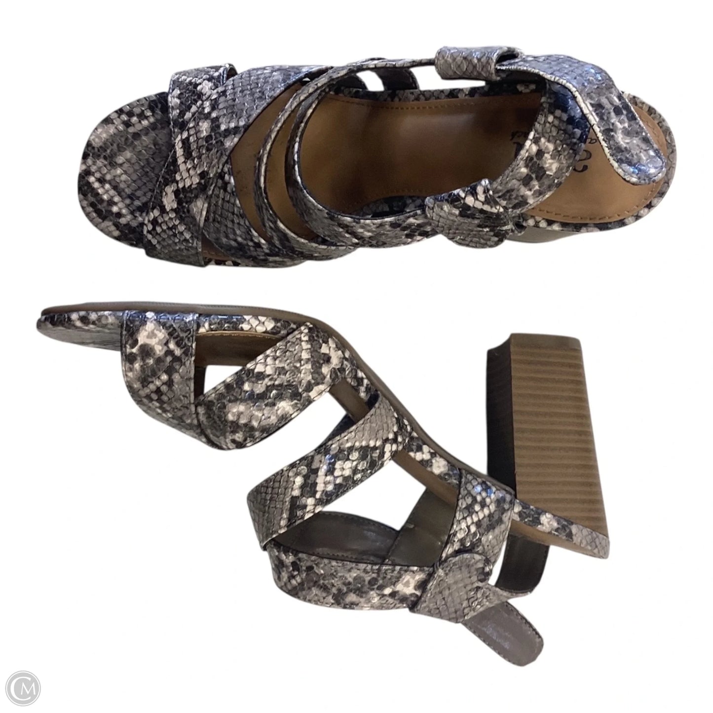 Shoes Heels Block By Ana In Snakeskin Print, Size: 8