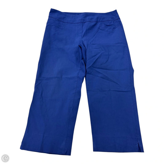 Capris By Zac And Rachel In Blue, Size: 12
