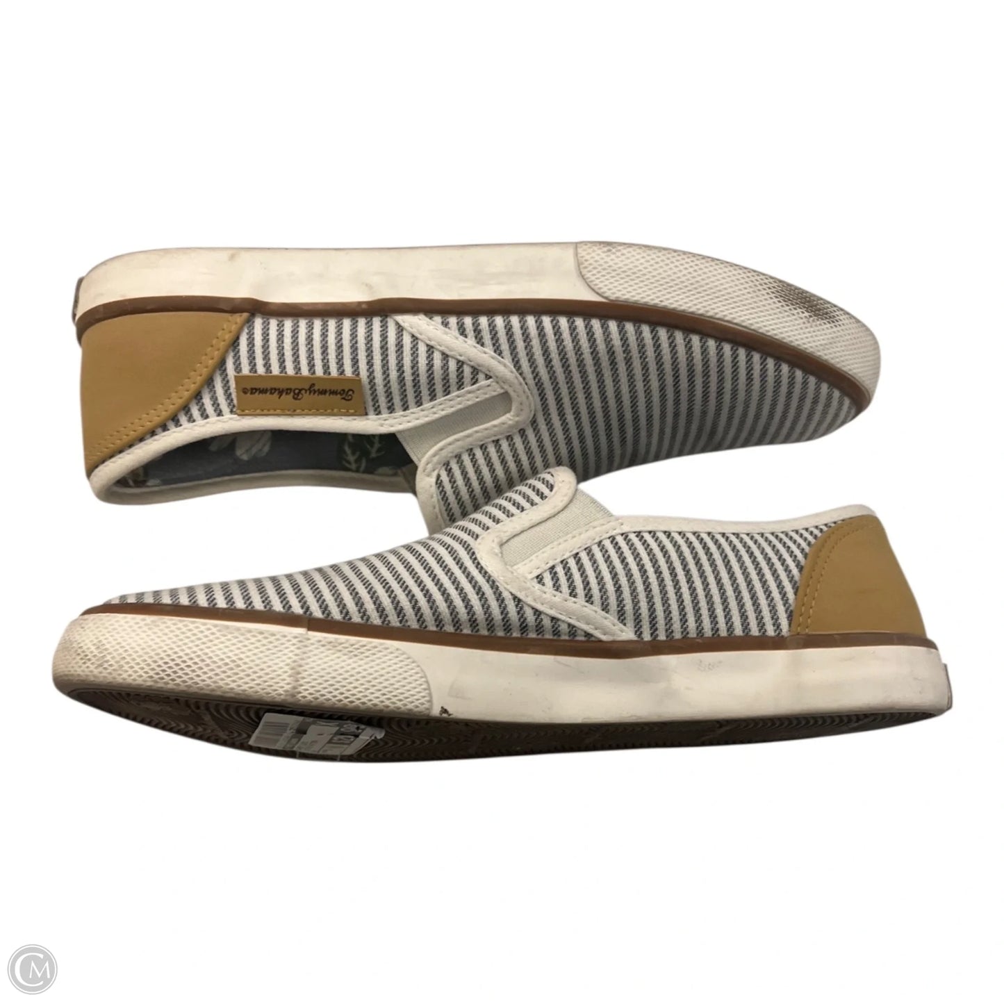 Shoes Flats By Tommy Bahama In Striped Pattern, Size: 8