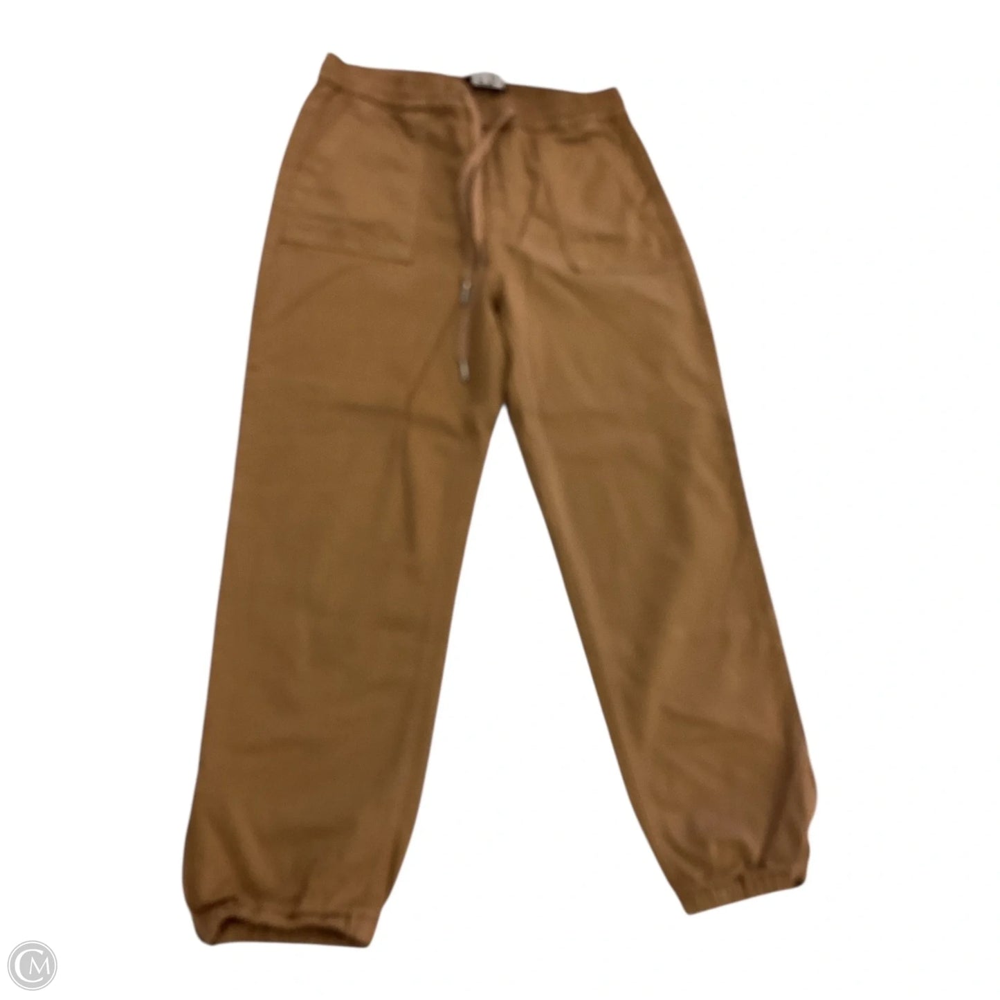 Pants Cargo & Utility By Joes Joes In Brown, Size: L
