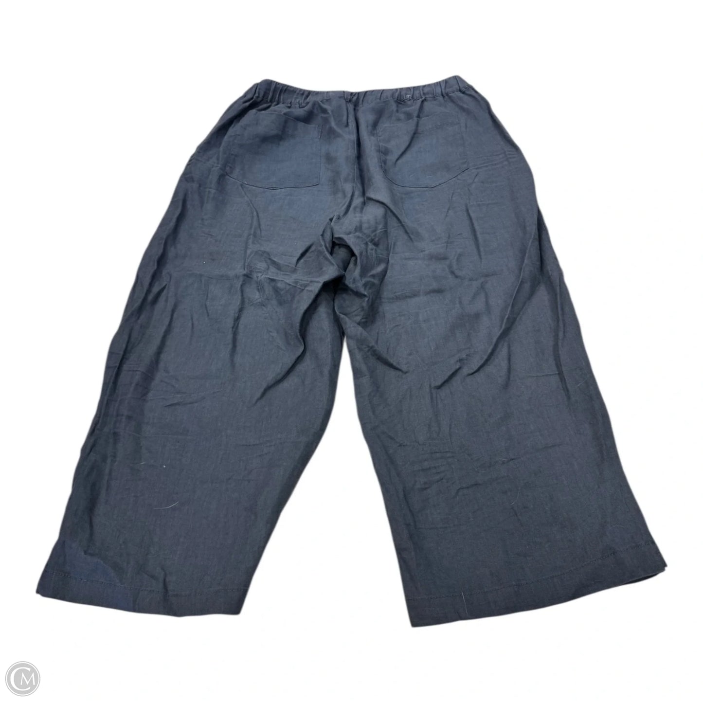 Pants Linen By Cynthia Rowley In Navy, Size: Xl