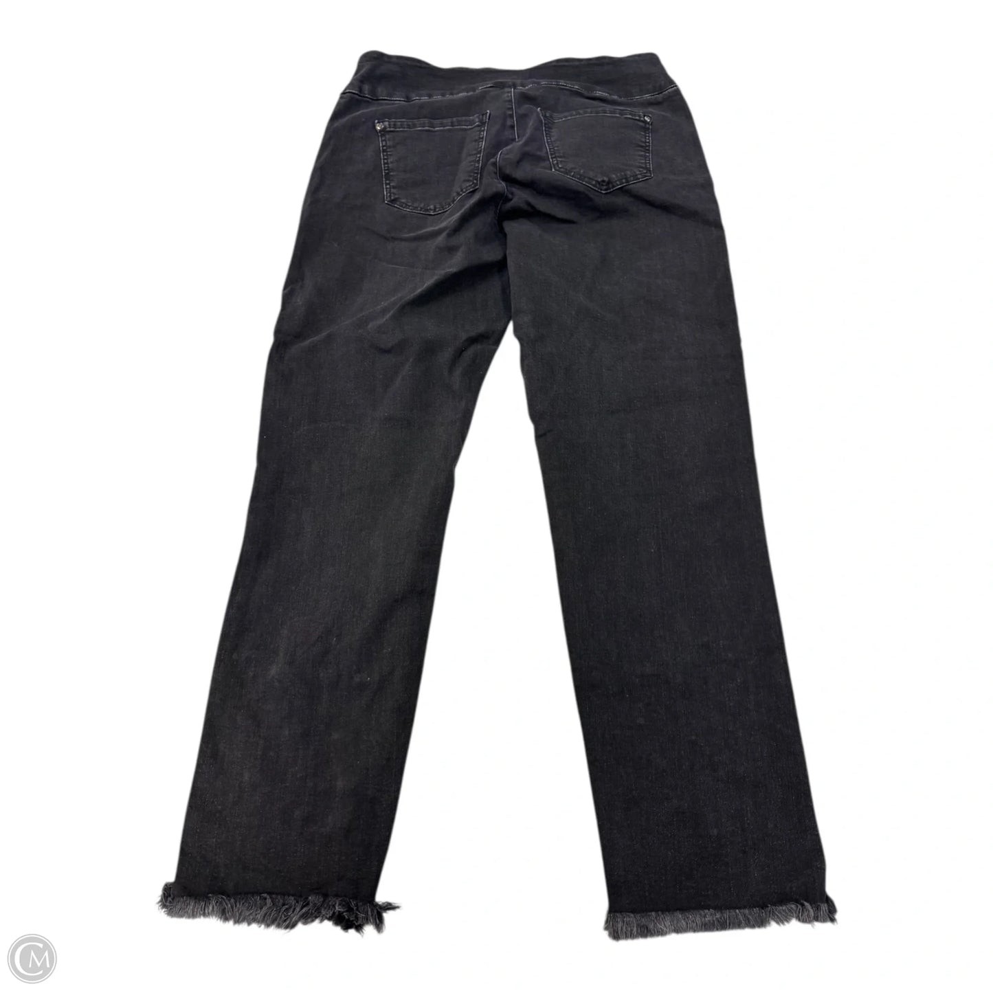 Pants Other By Clothes Mentor In Black & Silver, Size: 14