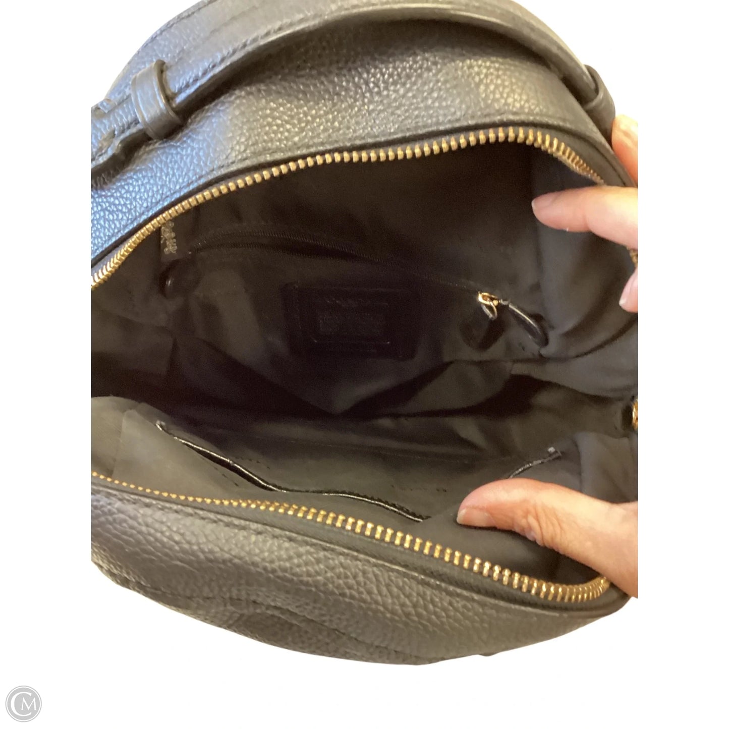Backpack Designer By Coach, Size: Medium