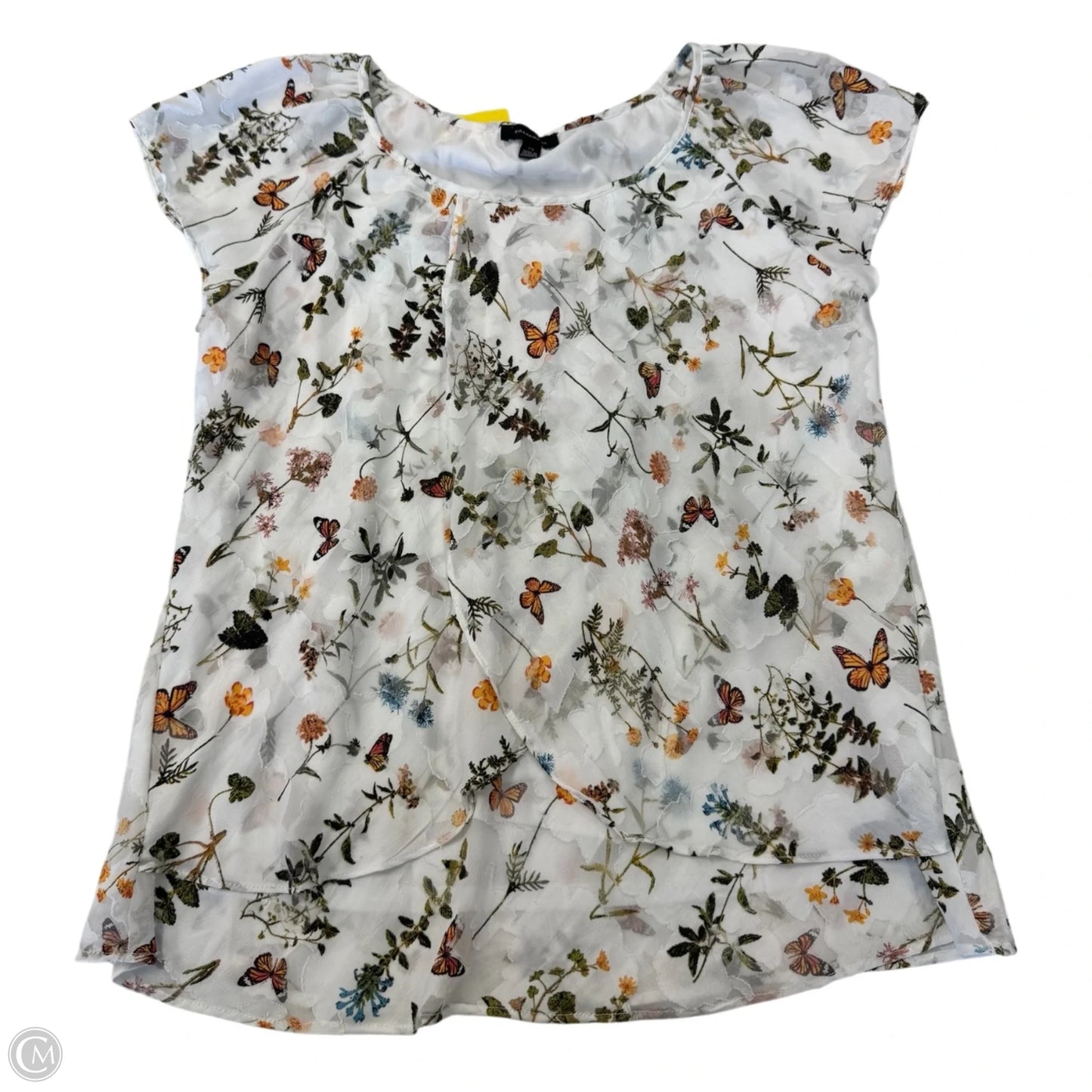 Blouse Short Sleeve By Tamara H In Animal Print, Size: L