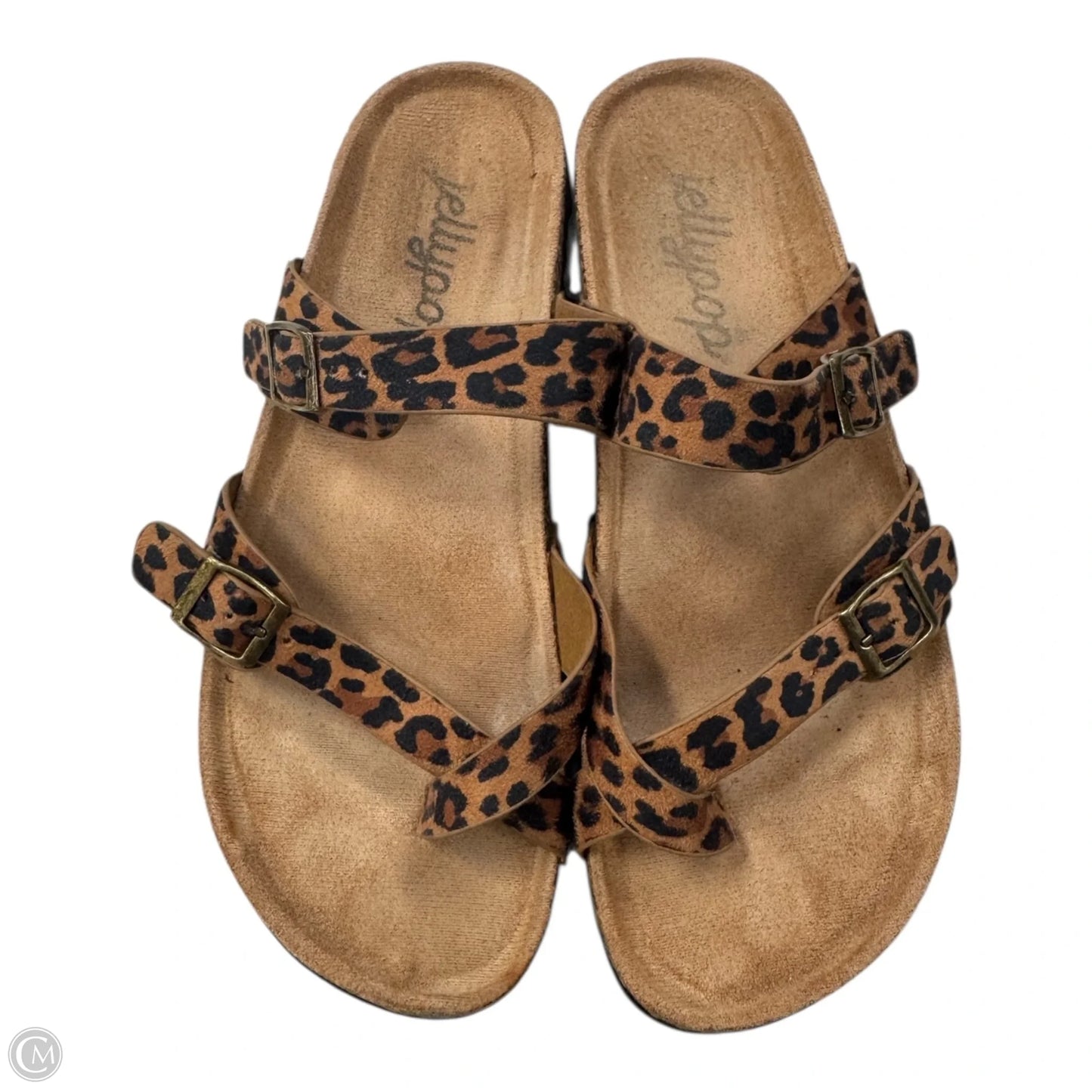 Sandals Flats By Jelly Pop In Animal Print, Size: 8