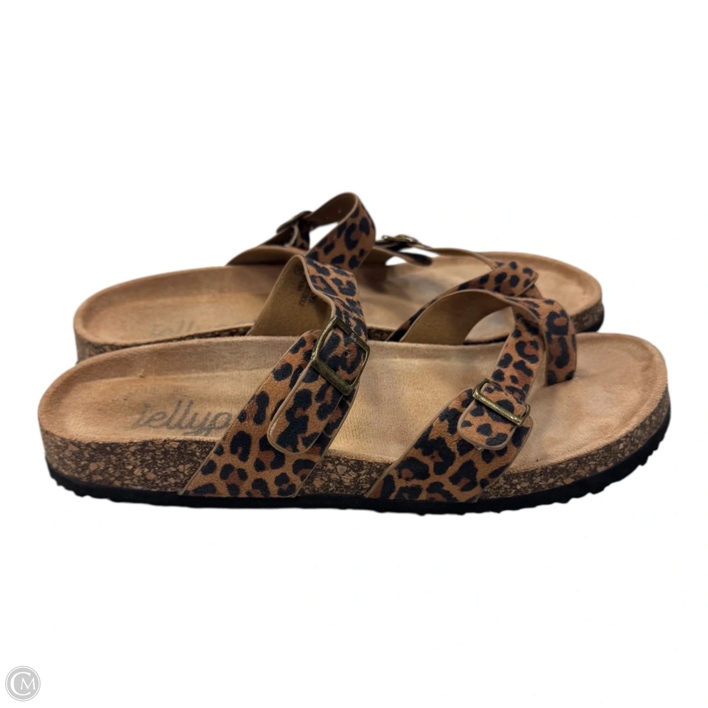Sandals Flats By Jelly Pop In Animal Print, Size: 8
