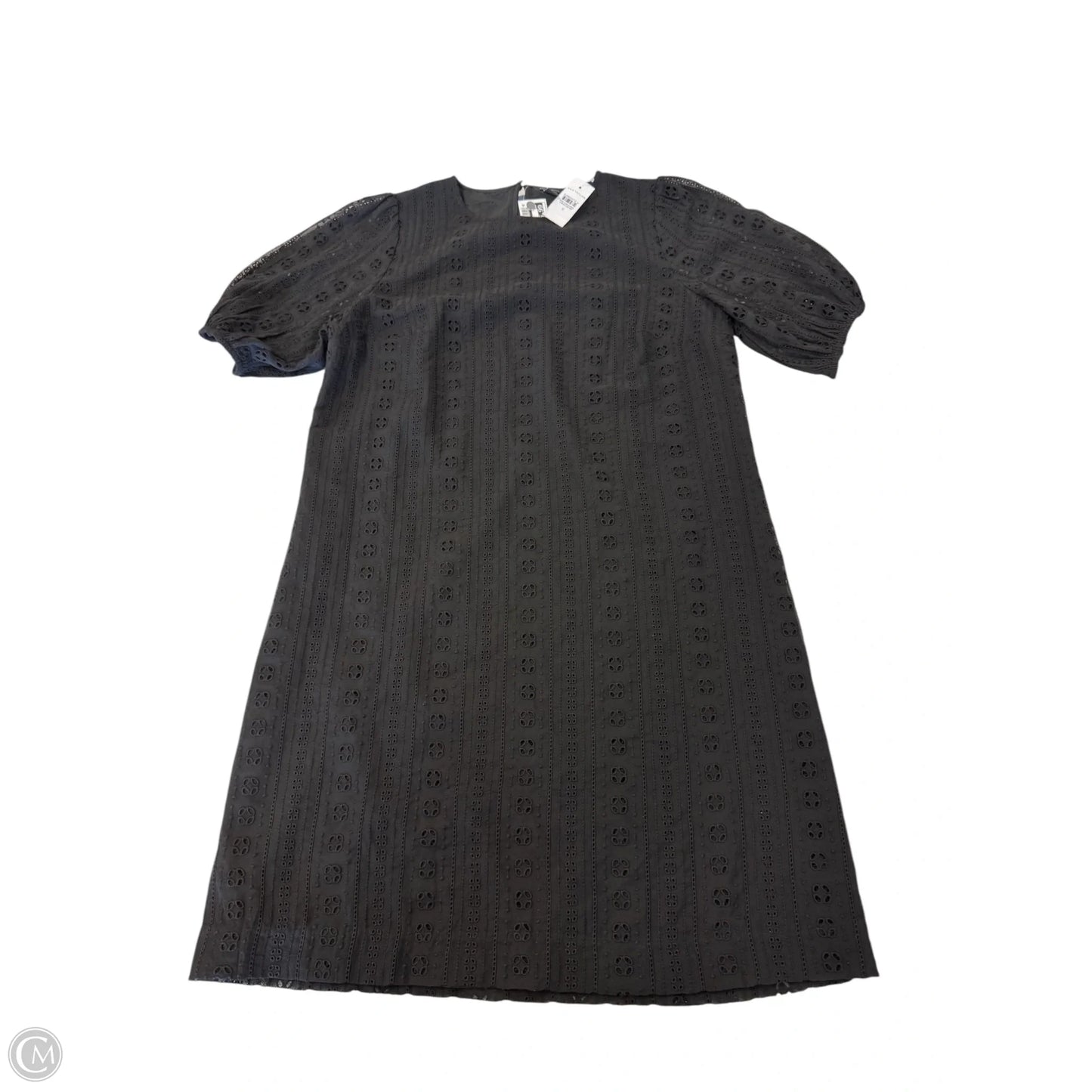 Dress Casual Short By Ann Taylor In Black, Size: 6
