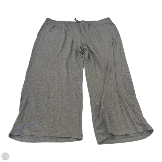 Pants Cargo & Utility By Terra & Sky In Grey, Size: 3x