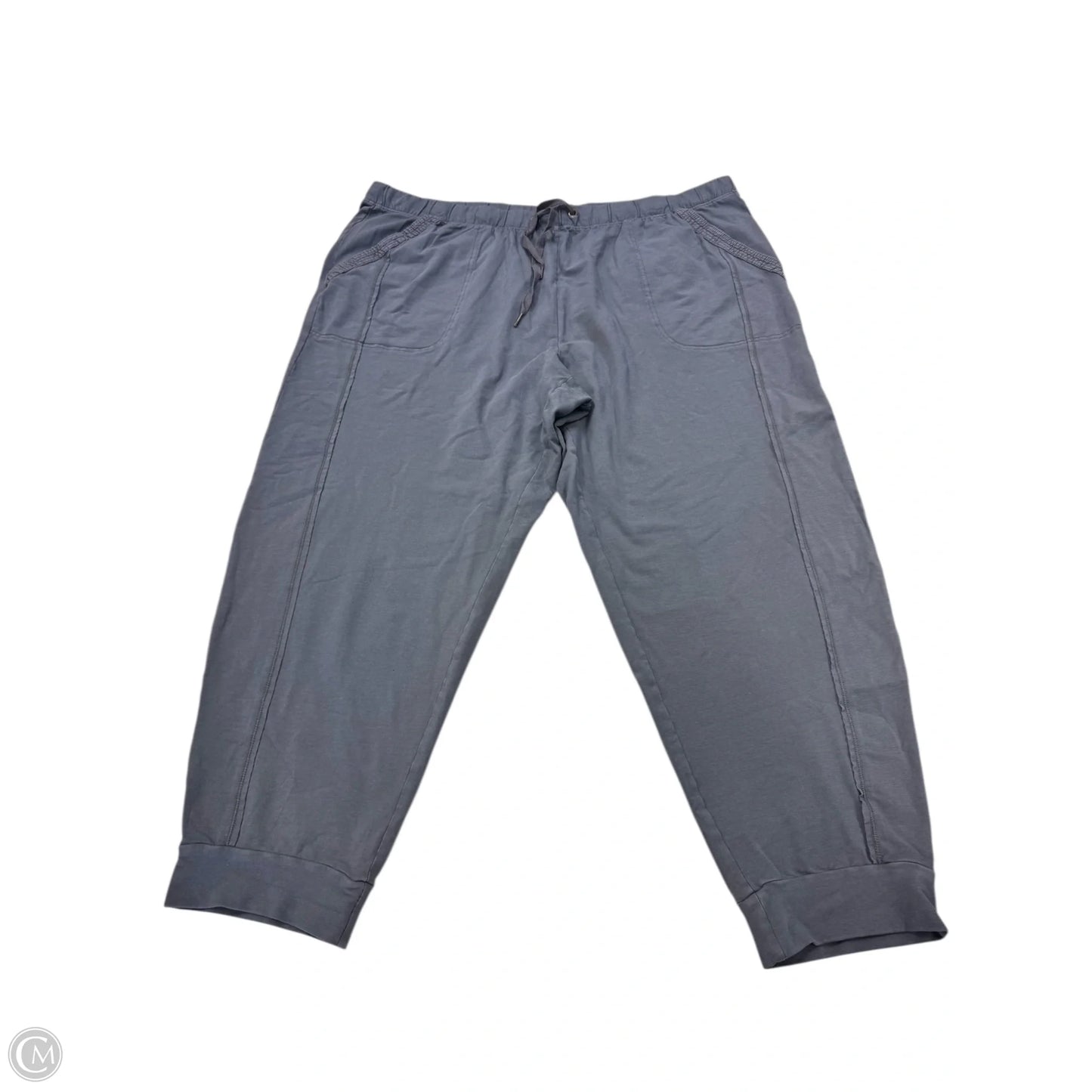 Pants Other By Terra & Sky In Grey, Size: 3x