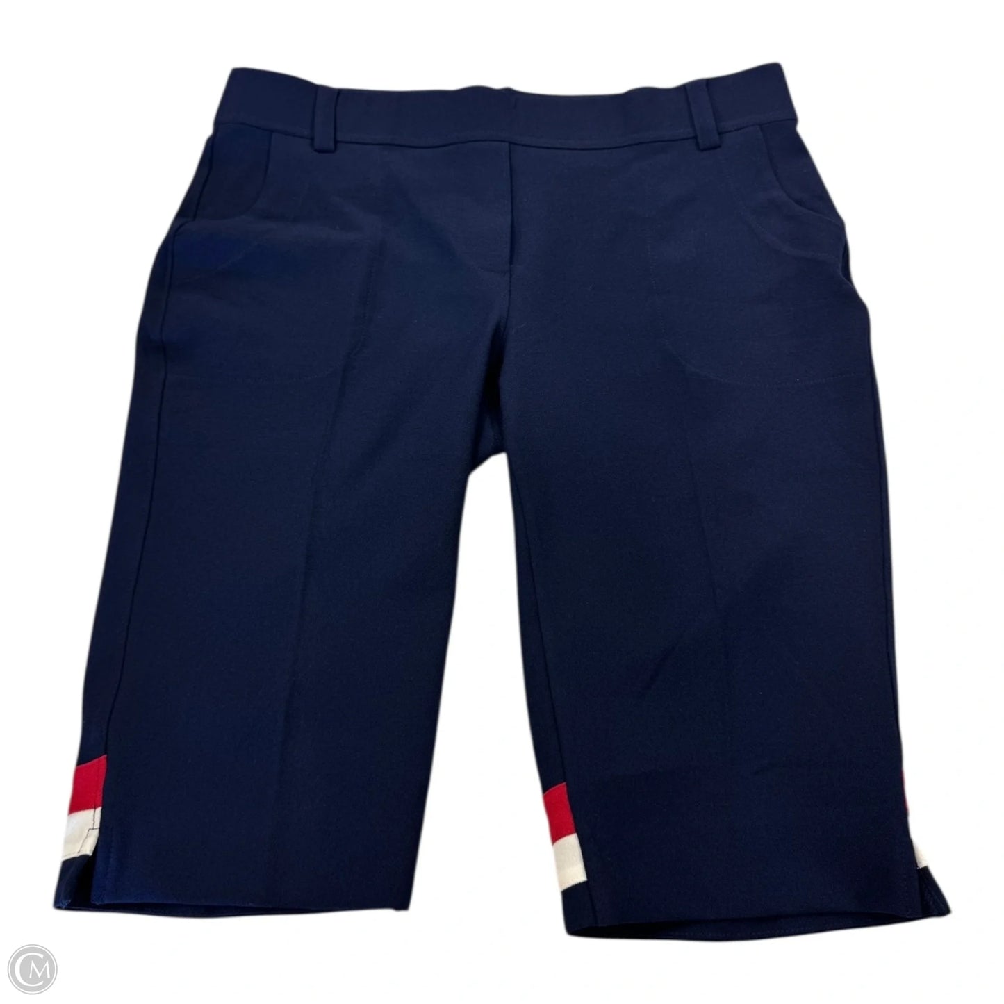 Shorts By Clothes Mentor In Navy, Size: M