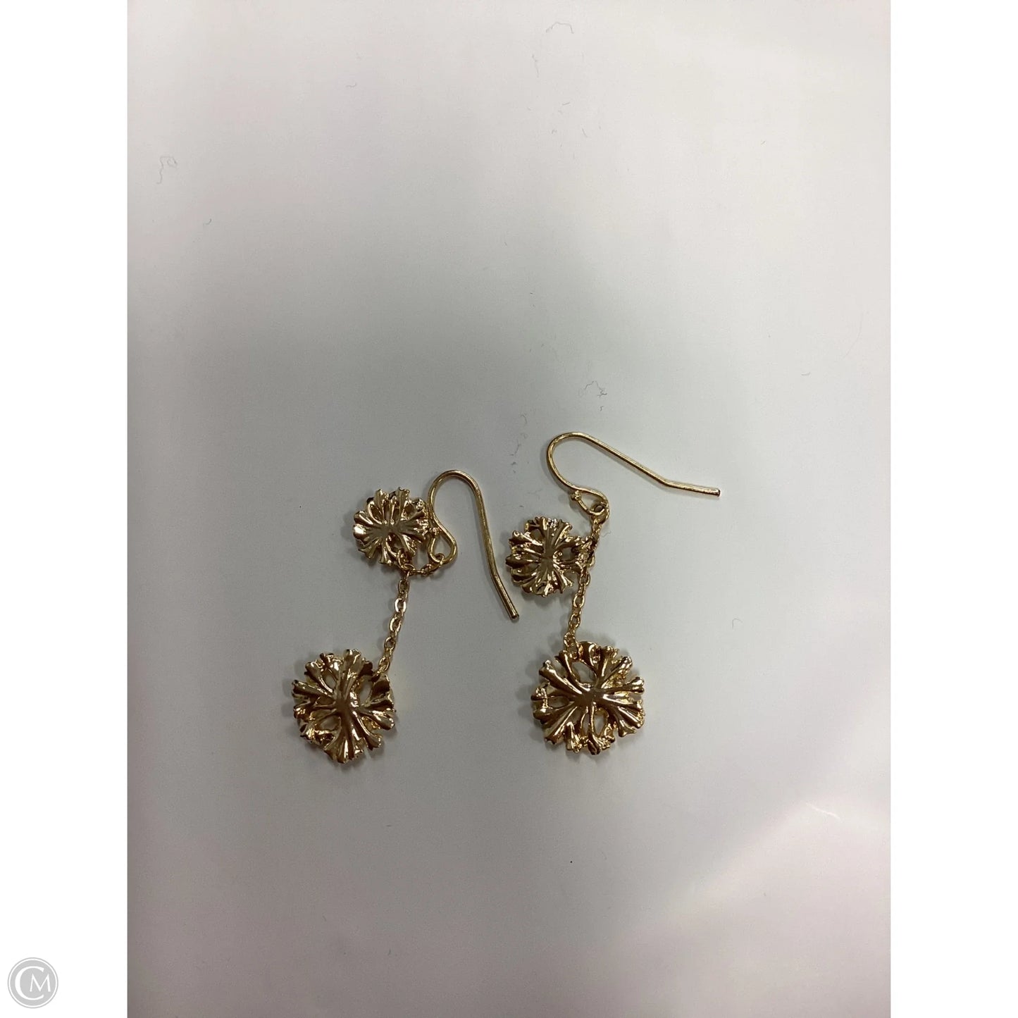 Earrings Dangle/drop By Clothes Mentor