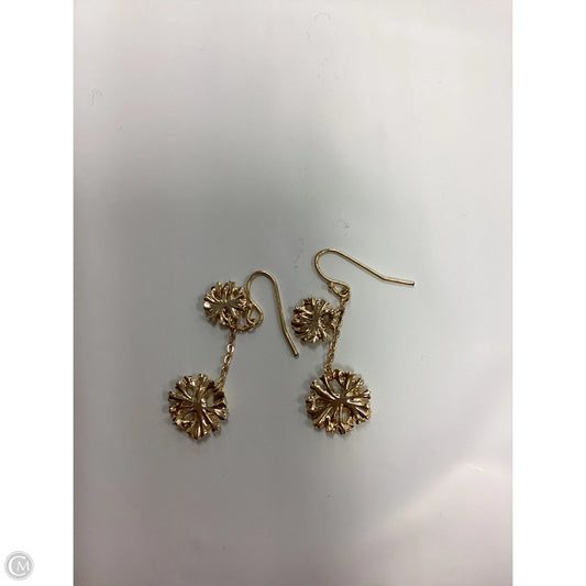 Earrings Dangle/drop By Clothes Mentor